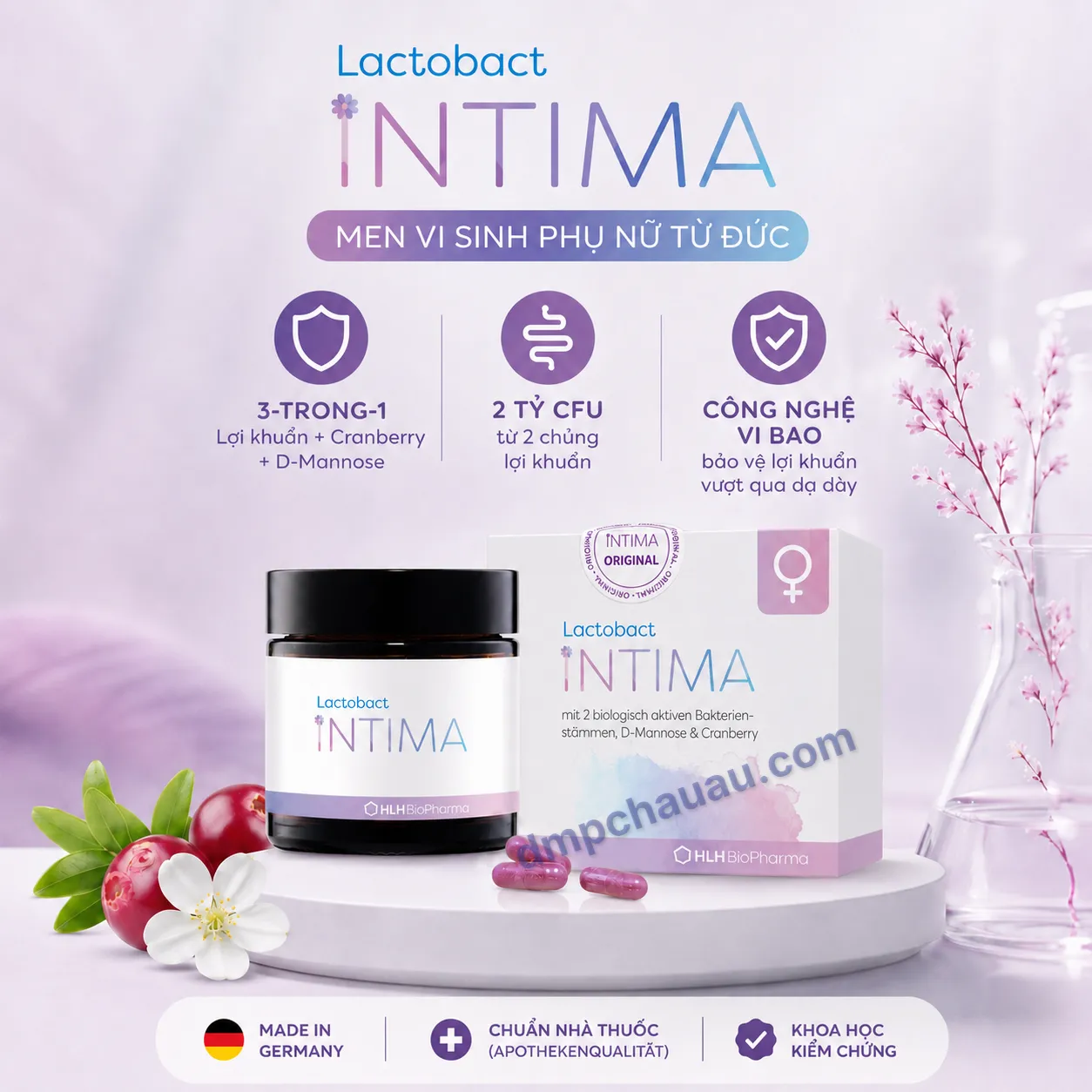men-vi-sinh-lactobact-intima-duc