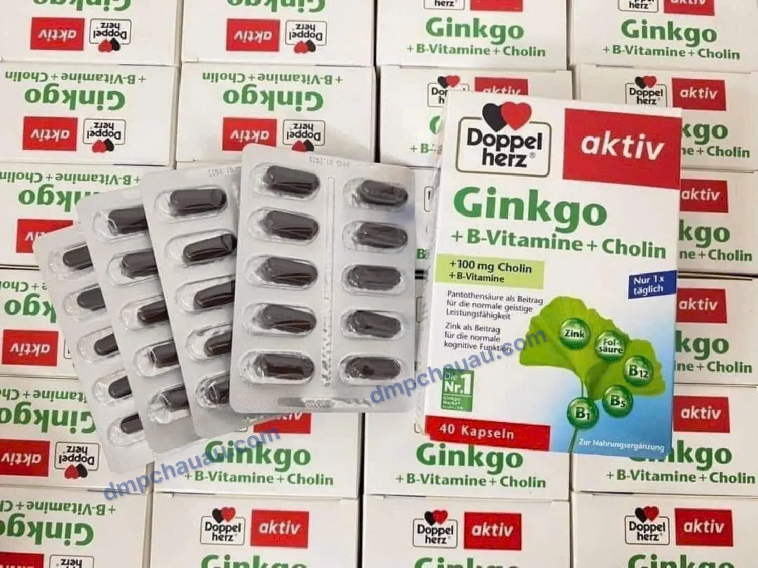 doppelherz-ginkgo-b-vitamine-cholin-40-vien