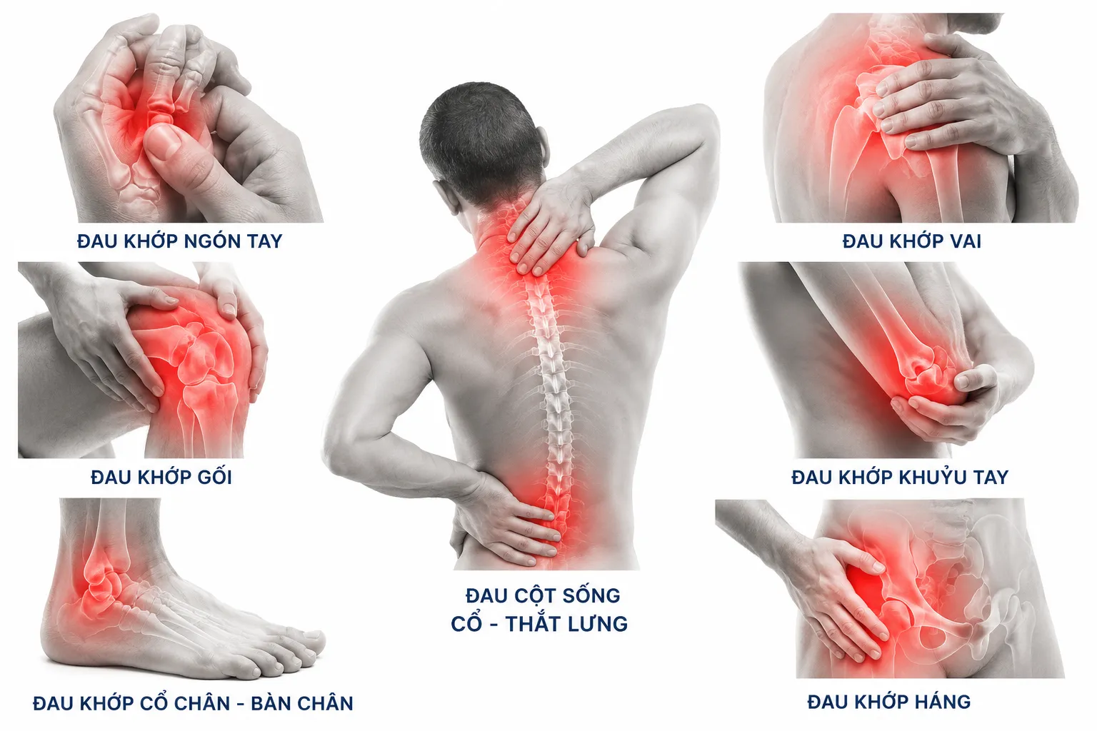 collagen-xuong-khop