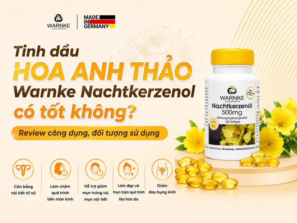 Tinh dầu Hoa anh thảo Warnke Nachtkerzenol có tốt không?